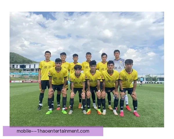 丹东腾跃因未通过足协新赛季准入审核正式宣告解散 丹东腾跃因未通过足协新赛季准入审核正式宣告解散